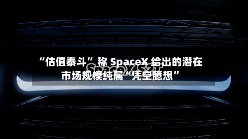 “估值泰斗” 称 SpaceX 给出的潜在市场规模纯属“凭空臆想”-第3张图片