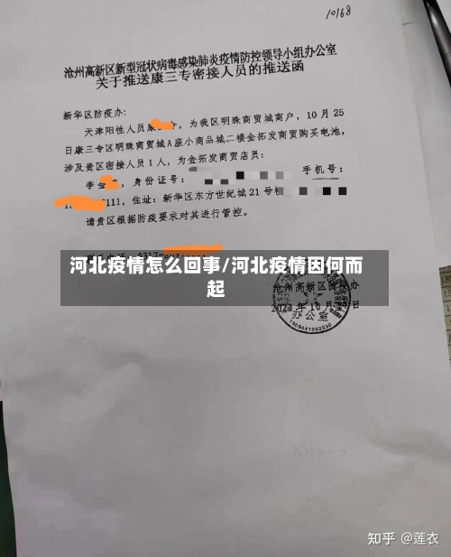 河北疫情怎么回事/河北疫情因何而起-第2张图片