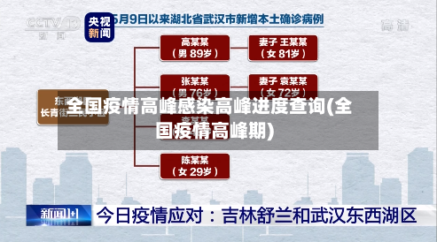 全国疫情高峰感染高峰进度查询(全国疫情高峰期)
