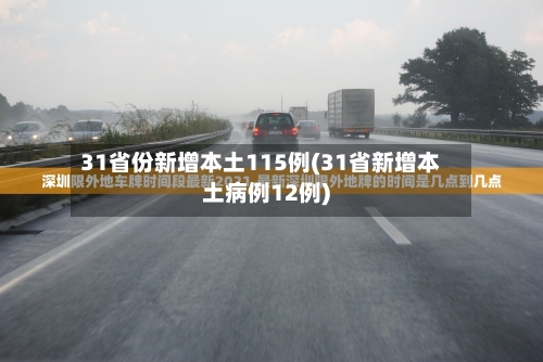 31省份新增本土115例(31省新增本土病例12例)-第2张图片