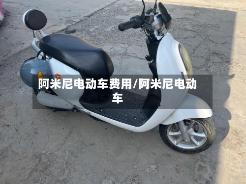 阿米尼电动车费用/阿米尼电动车