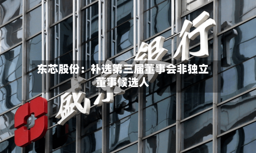 东芯股份:补选第三届董事会非独立董事候选人-第3张图片