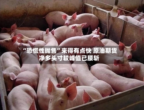 “恐慌性抛售	”来得有点快 原油期货净多头寸较峰值已腰斩-第2张图片